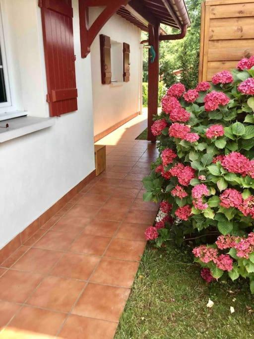 1Km Plage, Agreable Maison 6 Pers Classee 3* Hendaye Exterior foto